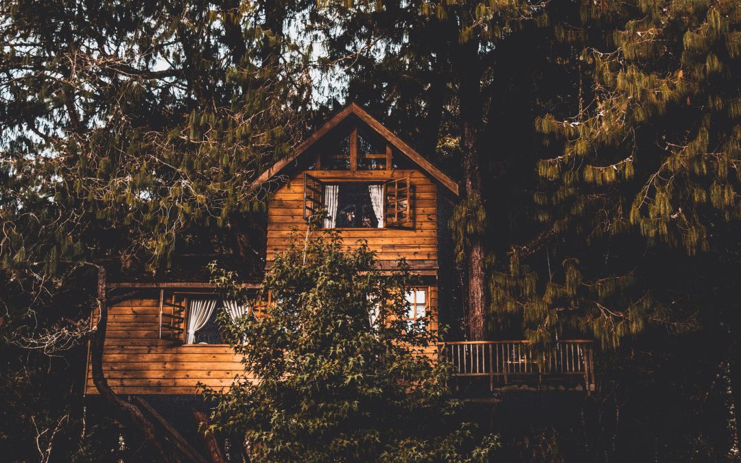 Cabane din Lemn: Reîntoarcerea la Simplitate și Eleganță în mijlocul Naturii